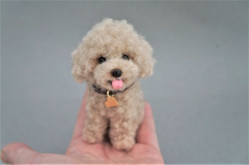  A needle felted beige poodle.  Have a great evening!