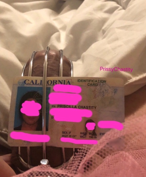 prissychastity: My new ID after my legal name change! I used to have such a strong, dignified name- 