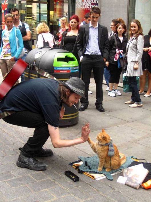 ourloveissemperfii:  &ldquo;One day in the subway, James saw a red cat with a