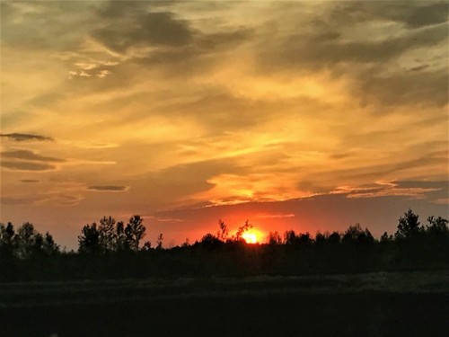 lostinthenorthwoods:~ Sunset Sky 61018