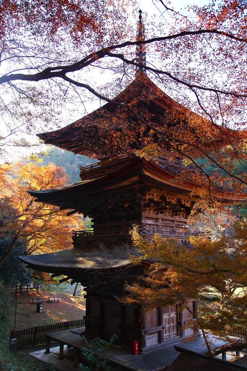 iseo58: Hokongo-in temple, Kyoto, Japan 金剛院 京都 鹿原山慈恩寺 金剛院　三重塔（重要文化財）