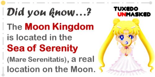 prismatic-bell: timemachineyeah: t-unmasked: Find more Sailor Moon trivia at: www.tuxedounmasked.com