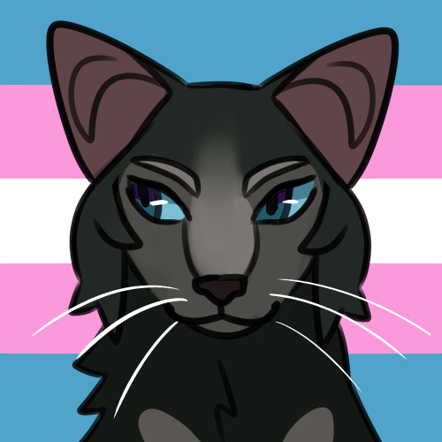 berrym00n: pride batch #3nonbinary breezepelt, aroace needletailgenderfaun aromantic / transgender /