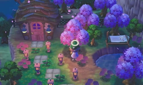 madelaidecrossesanimals: Pancetti’s sleep sanctuary. ➥ 0894 - 7711 - 986