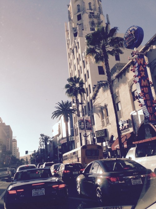 Summer In Cali