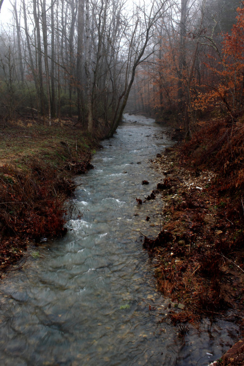 Leatherwood Creek Approaching Its Entrance to Buffalo River at Ponca, Arkansas by danjdavis on Flick