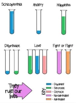 brainiology:Looove chemicals ❤️❤️