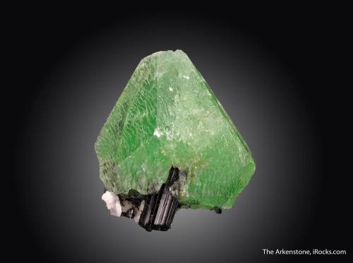 HydroxylherderiteThe apatite group of minerals (see bit.ly/2akYWkg) encompasses quite a varie