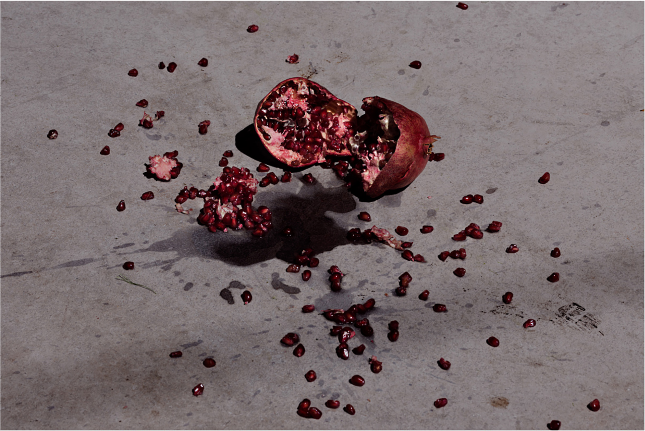 thephotoregistry:  From The Moon Belongs To EveryoneStacy Arezou Mehrfar