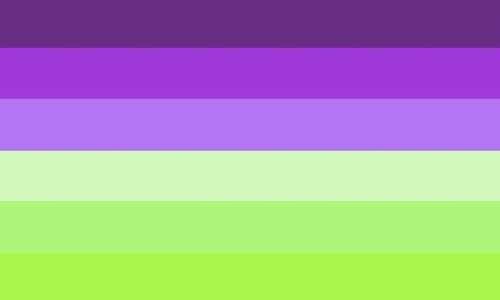 goosebumps gay and trans flags!!!