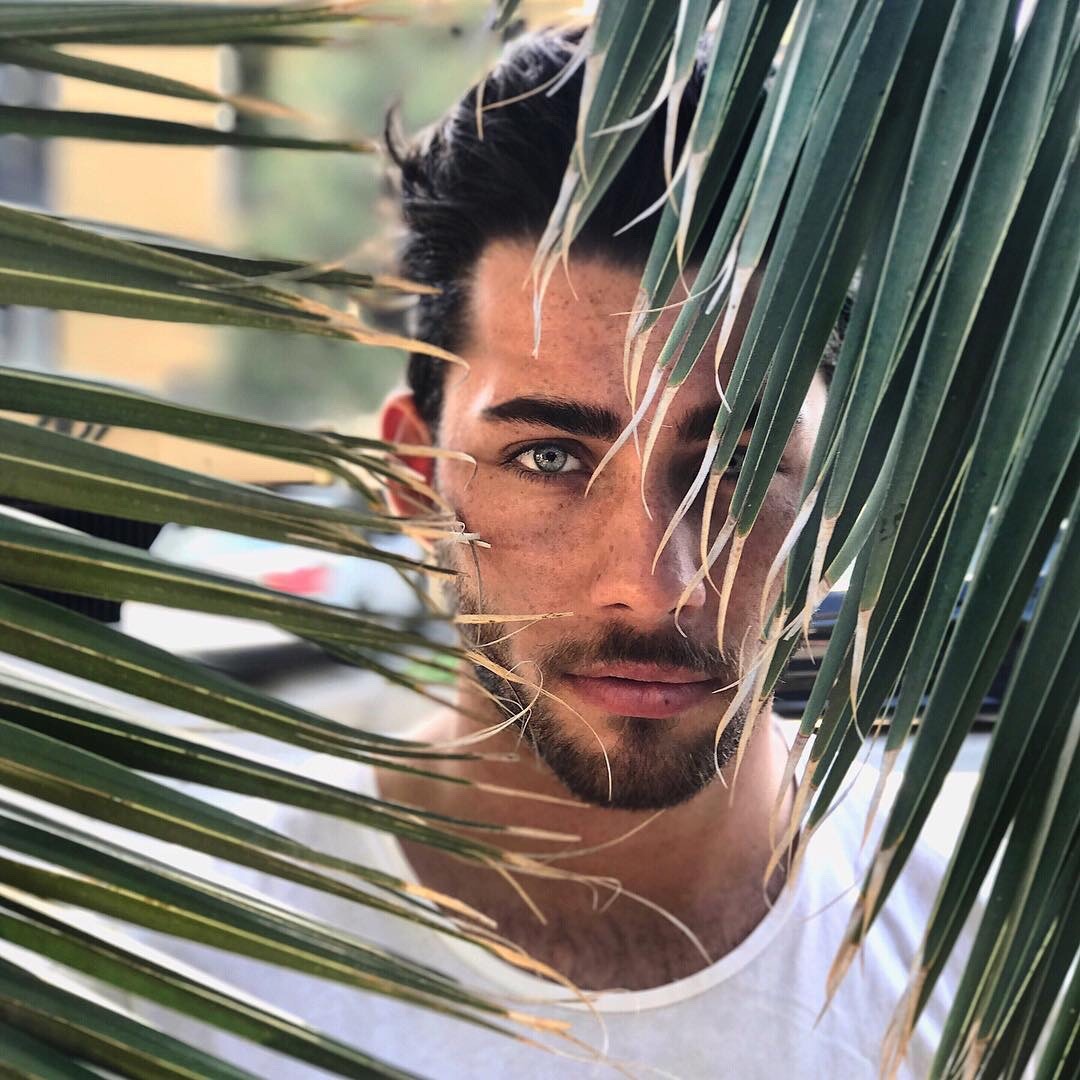 3leapfrogs20:  luz-natural:He does not hide @nicolaschmid_ .|. 3leapfrogs/  🐸🐸🐸