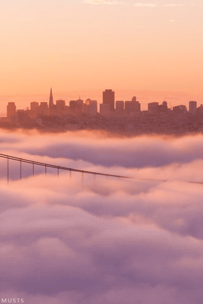 musts:  Here’s a timelapse gif of fog/mist hovering over the Golden Gates bridge