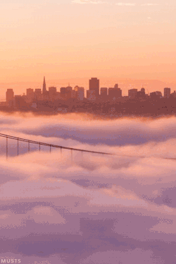 musts:  Here’s a timelapse gif of fog/mist hovering over the Golden Gates bridge in San Francisco, California, USA from the video Adrift by Simon Christen.