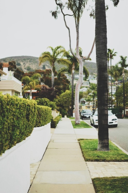 sassafranski:  Side streets in Laguna Beach. 