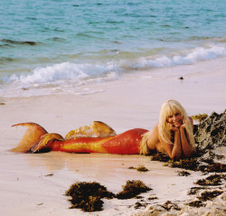 Vintagegal:  Daryl Hannah In Splash (1984)