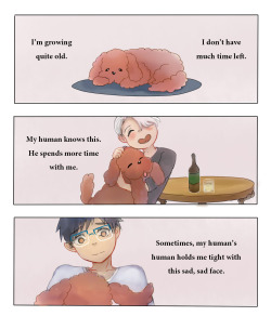 yuri-on-ice-confessions:  yaoionice:  I’M SOBBING  WHY WOULD YOU DO THIS I’M SO WEAK TOWARDS PET POV THINGS DONT DO THIS TO ME ;-; 