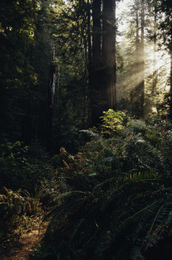 findingmykitchensink:  90377:  by James Unkov