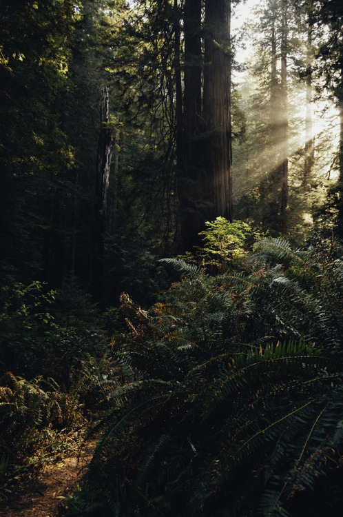 findingmykitchensink:  90377:  by James Unkov Photography  This picture is so calming to me