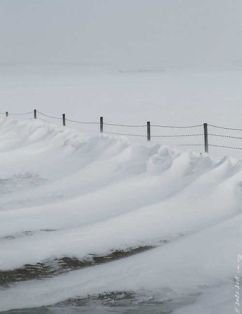 thisherelight:in case you’re not entirely sick of pictures of what we call spring.. 