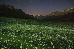unrar:  Wildlife photographer Stefano Unterthiner spent a year on assignment for National Geographic in Italy’s Gran Paradiso National Park. The English translation for the park’s name is “Big Heaven,” which is evident in this image of an Alpine