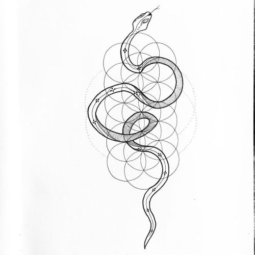 Snakey - - - - - - #geometry #geometric #geometricart #fineline #finelinerart #sacredgeometry #circl
