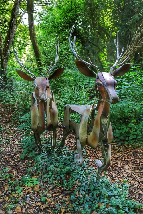Deer Sculpture, Brungerley Park at Clitheroe, Lancashire, 26.7.18.