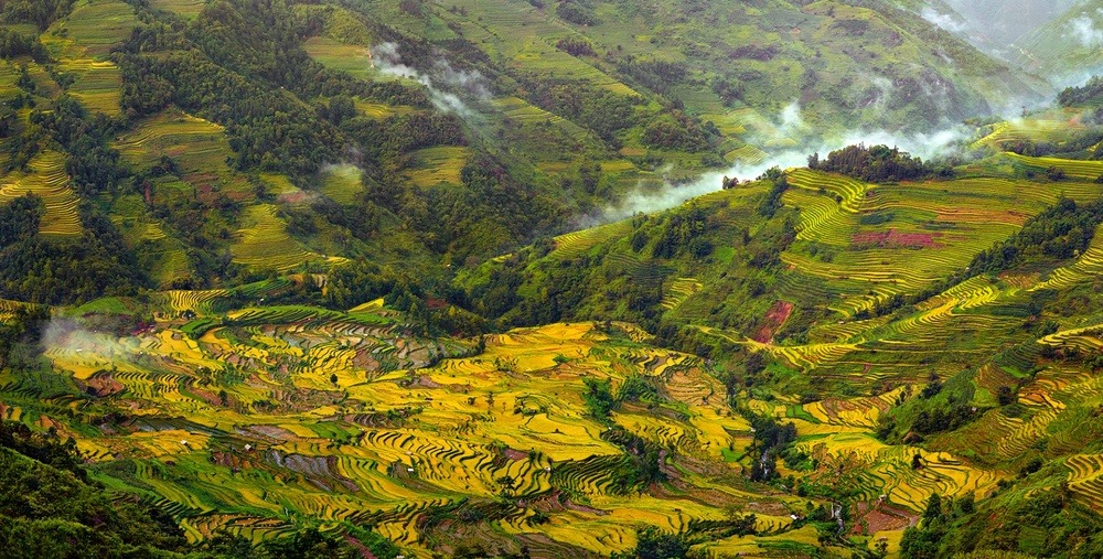 archatlas:    Beauty Paddy of China Thierry BornierThe Hani Rice Terraces, covering