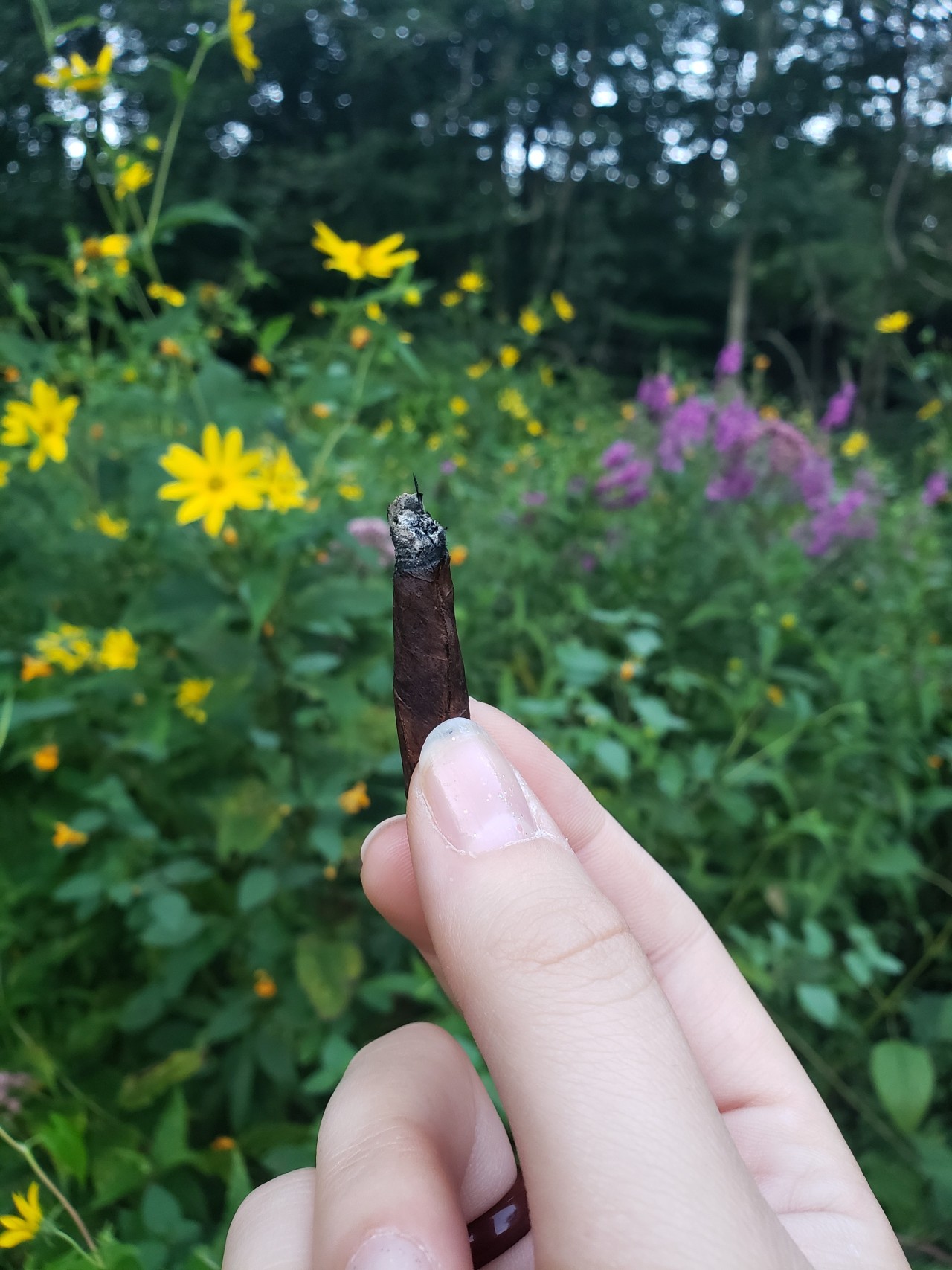 Perfect Blunt Tumblr perfect-blunt-tumblr