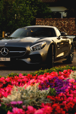 motivationsforlife:  AMG GT-S by Alex Guerber