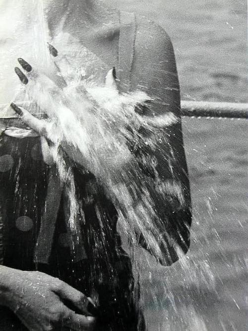 Jacques Henri Lartigue - Florette at Monte Carlo Beach