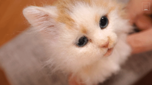 Brian Wakuneco わくねこ羊毛フェルト Artist Sachi