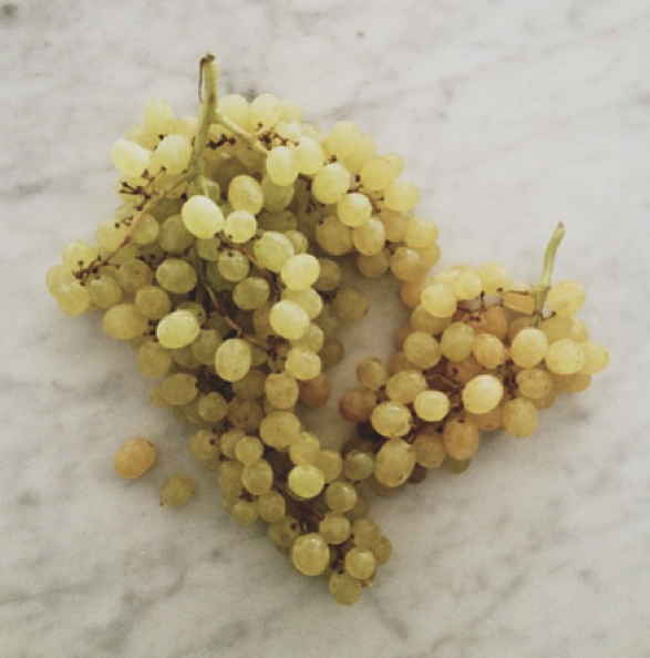 madelinebourke:  it would appear I have a slight obsession with fruit! 
