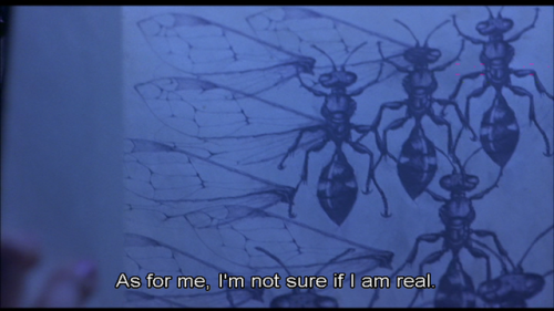 , Shinya Tsukamoto (2004)