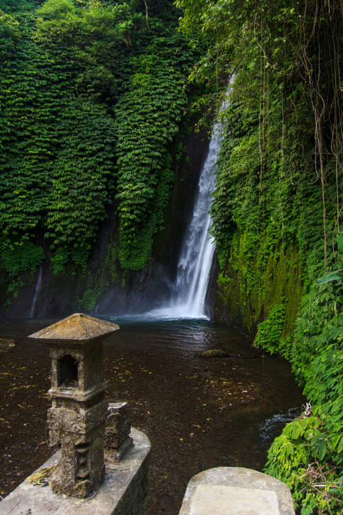 aztec-dream: ata-raxie:  Bali, Indonesia (by Marty Mellway)   j u n g l e b l o g  Jungle/tropical b