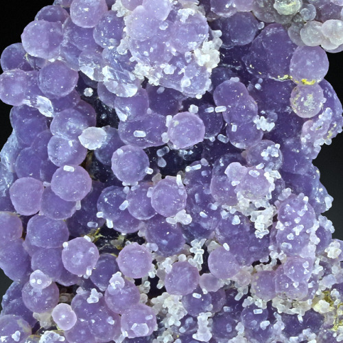 hematitehearts:  Grape ChalcedonyLocality:   Mamuju Area, Sulawesi Barat Province, Sulawesi Island, Indonesia