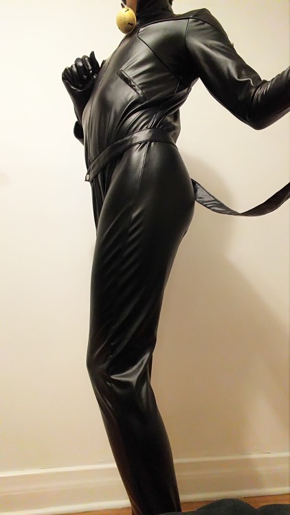 maple-maya: Chat Noir pour vous servir! Meow!