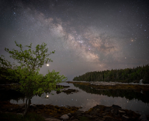 The Galaxy, the Planet, and the Apple TreeImage Credit: Kristine Richer