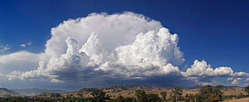Cumulonimbus IncusA cumulonimbus incus is a subspecies of a cumulonimbus cloud, a vertical cloud for