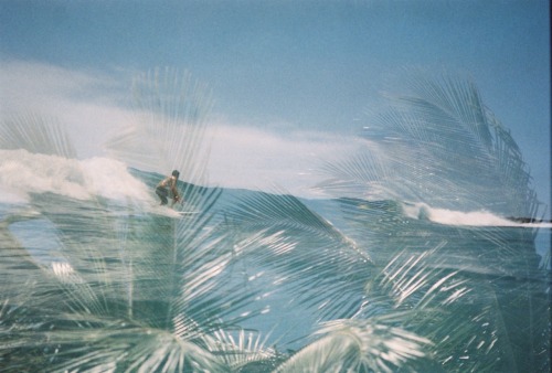 cvlifornia-vibes: alohabigmike: Disposable Sessions, double exposure with a Fuji Quicksnap. i