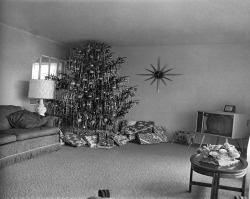 cinoh:  Xmas Tree in a Living Room, Levittown,