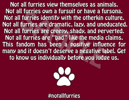 dracakitty:  I have finalized this. The first one was a bit too long and I felt like the way I worded the first one was a bit generalized, long, and didn’t appeal to everyone. Not everyone in the furry fandom is otherkin, owns a suit, etc. The idea