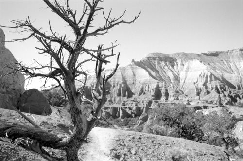 Kodachrome State Park, Utah (October 2013) en.wikipedia.org/wiki/Kodachrome_Basin_State_Park 