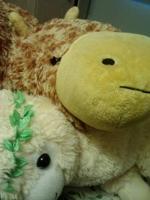 horticulturalcephalopod:a tragedy told through stuffed animalshappy ides of march!