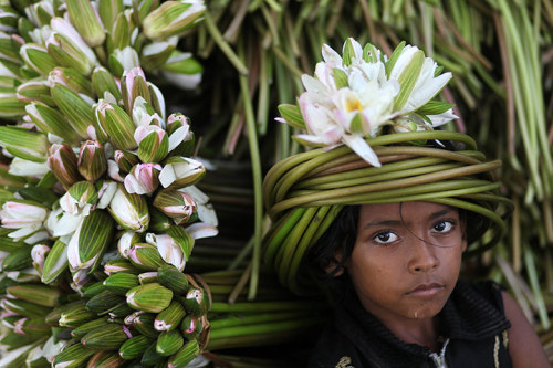  A child collects water lilies from a lake porn pictures