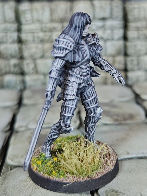 Dark Souls Board Game Darkwraith. Definitely One Of The Rougher Sculpts, The Fact That The Set Is Mostly