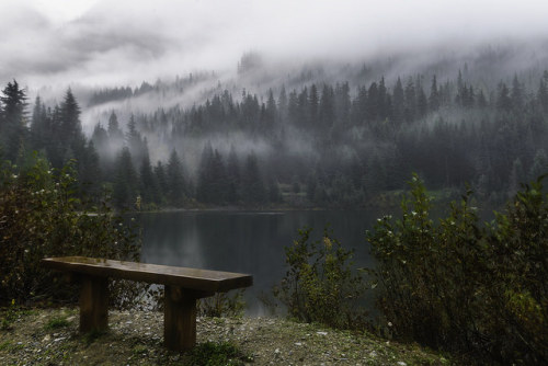 Rain Meditation by Pedalhead'71 on Flickr.