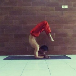 yogamen:  @wayanjati