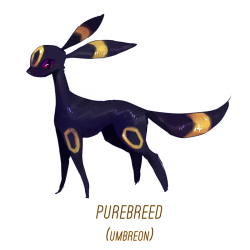 robbiegeez:  ok I really like the concept of pokemon crossbreeding so I decided to make some crossbreeds for umbreon!!! I had alot of fun drawing these. (I also threw in a solrock fusion bc I thought it would look cool hahahaa) 