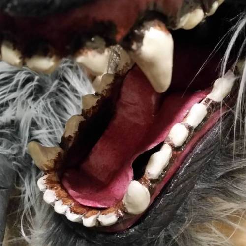 My, what big teeth you have. #werewolfwednesday #werewolf #wolf #horror #monsters #monstermask #hall