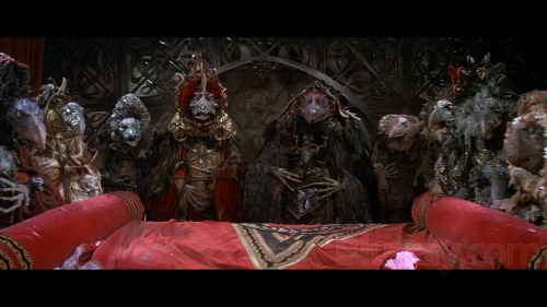 The Skeksis from “The Dark Crystal”. #MonsterSuitMonday It’s been a long time sinc